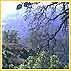 COORG - A Coffee Country