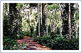 Coorg