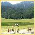Dalhousie