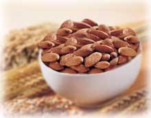 Nibblesmart - Snacking while on a limited calorie diet