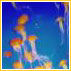 Do sperms have life?