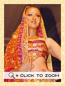 Sangeet Soiree