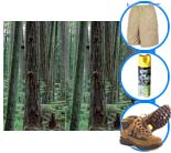 Forest checklist