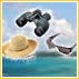 Pack up for your honeymoon