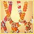 Varmala - A garland for the groom