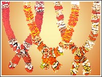 Varmala - A garland for the groom