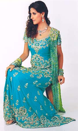 http://www.shaaditimes.com/images-article/2006/jun/classic-sari-1.jpg