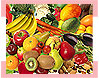Diet