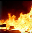 The significance of fire