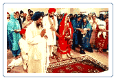 Sikh Wedding
