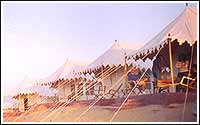 A Desert Theme