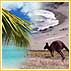 Honeymoon Destinations