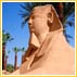 The Charm of Sharm