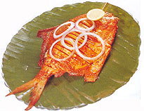 Machi / Fish Be Misaal