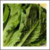 Dark, Leafy Greens