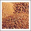 Whole Grains