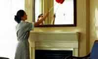 Cleaning Up For Guests - In 30 Minutes Or Less