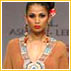 Ashima & Leena's Collection