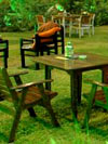 Green Weddings Part 3