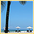 Top 7 Summer Destinations
