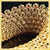 Tanishq - Understanding The Indian Woman