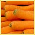 Top 10 Superfoods You Must Eat Everyday!