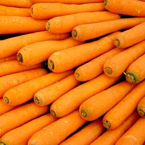 Top 10 Superfoods You Must Eat Everyday!