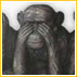 Monkeying Around: See, Hear & Say No Evil