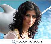 Shibani Kashyap