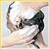 Mineral Water Can Reduce Dryness Of Hair