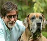 B-town Stars and Their Pets