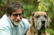 B-town Stars and Their Pets